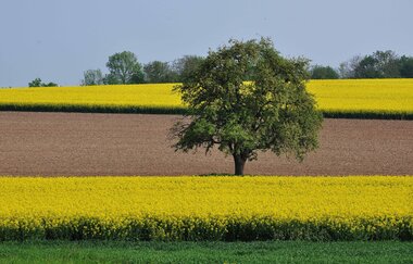 Aussichtspunkt Kraichtal-Münzesheim | © Land der 1000 Hügel - Kraichgau-Stromberg