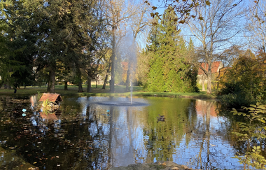 Baumpfad Neckarbischofsheim