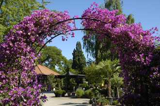 Baumschule und Café Huben in Ladenburg | © Baumschule Huben