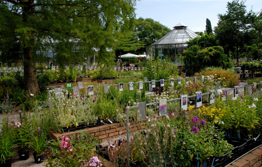 Baumschule und Café Huben in Ladenburg | © Baumschule Huben