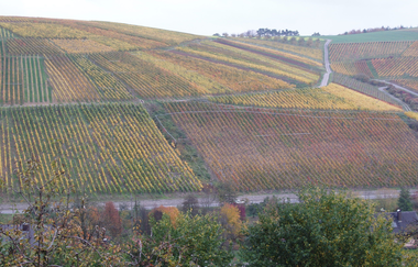 Becksteiner Winzer eG