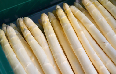 Beerenhof Grötzinger | Weißspargel | © Neckar-Zaber-Tourismus e.V.