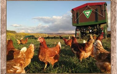 Bio-Bauernhof Leis | © Gemeinde Oberderdingen