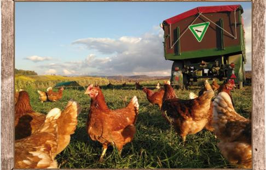 Bio-Bauernhof Leis | © Gemeinde Oberderdingen