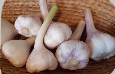 Biohof Dissinger | © Liebliches Taubertal