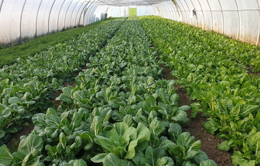 Biohof und Hofladen Braun | © Biohof Braun