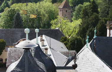 Im Vordergrund die Dächer des Schlosses, im Hintergrund liegt der Blaue Hut im Grünen.