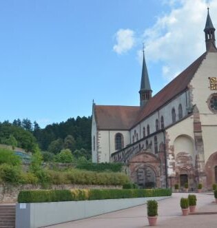 Bronnbach - Weinberge - Bronnbach