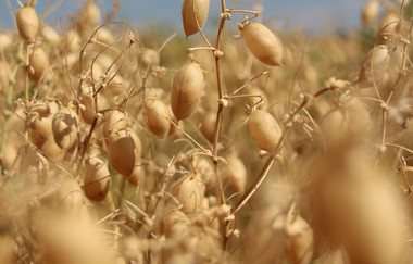 Bubenlohe | © Liebliches Taubertal