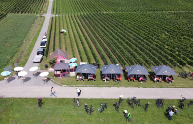 Bühl-Hütte | © Privatkellerei Rolf Willy GmbH