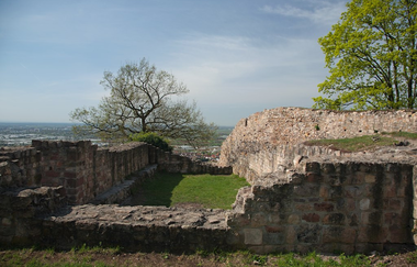 Burg Schauenburg bei Dossenheim | © Dorothea Burkhardt