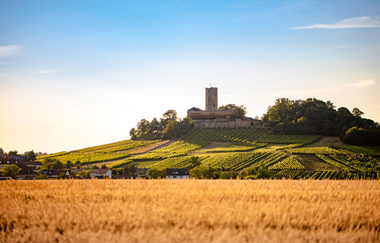 Stimmungsvoller Blick über Getreidefelder auf die Burg Steinsberg | © Stadtverwaltung Sinsheim