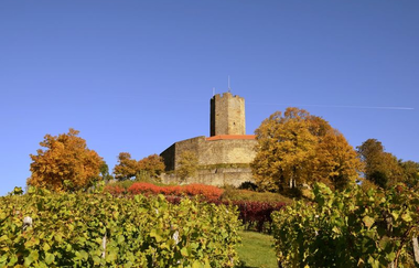 Blick über die Weinberge auf die Burg Steinsberg | © Stadt Sinsheim