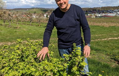 Cassismanufaktur Danner | © Cassismanufaktur Danner GmbH & Co. KG