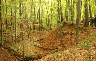 Dachsenfranz-Höhle zwischen Dielheim und Horrenberg | © Landratsamt Rhein-Neckar-Kreis