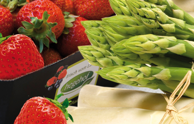 Der Hegehof Ladenburg | © Hegehof Ladenburg