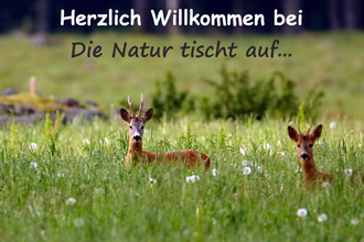 Die Natur tischt auf... GbR | © Liebliches Taubertal