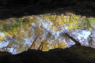 Die Spatschlucht im Weiten Tal bei Schriesheim | © Landratsamt Rhein-Neckar-Kreis