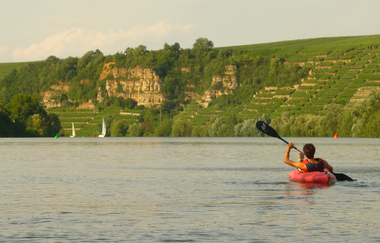 Die Zugvögel | SUP- und Kanustation Lauffen am Neckar