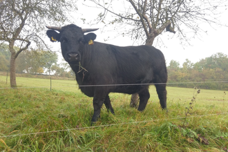 Direktvermarkter Hannes Ort | © Liebliches Taubertal