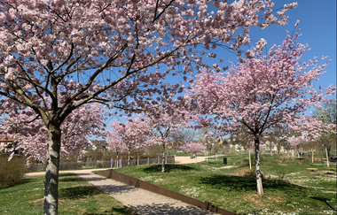 Enzgärten | © Stadt Mühlacker
