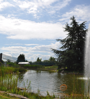 Erlebnispark Pflanzen Mauk Gartencenter | Lauffen am Neckar | HeilbronnerLand | © Pflanzen Mauk Gartencenter GmbH