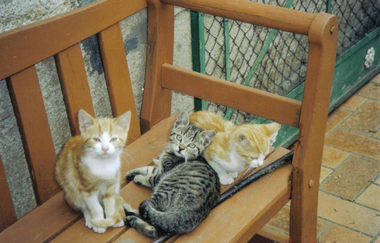 Ferienhof Waldmann | © Unbekannt