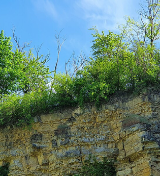 Flächennaturdenkmal Steinbruch am Stadtrand | © BTMV Bruchsal