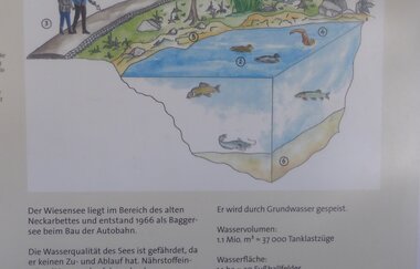 Freibad Hemsbacher Wiesensee | © Beate Otto
