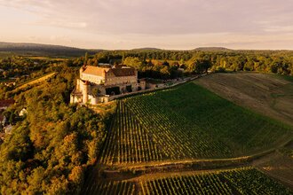 Burg Stettenfels im Abendlicht zwischen den Weinbergen | © Touristikgemeinschaft HeilbronnerLand e.V.