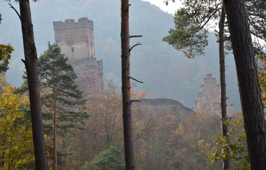 Blick aus dem Wald auf die im Nebel liegende Freudenburg. | © Liebliches Taubertal