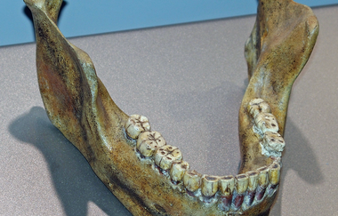 Fundort "Homo heidelbergensis" im Naturschutzgebiet Sandgrube am Grafenrain in Mauer | © Werner Hilscher