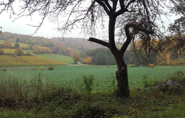 Galgenhohle bei Kraichtal-Oberöwisheim | © Stadtverwaltung Kraichtal