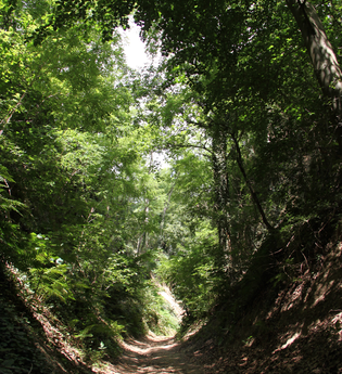 Galgenhohle bei Kraichtal-Oberöwisheim