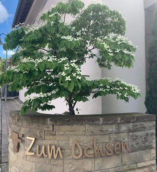 Gasthof zum Ochsen | Cleebronn