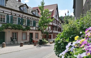 Fachwerkhäuser an einer Straße mit Bepflanzung. | © Jasmin Wolf