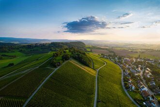 Aussicht Golberg von Öhringen-Verrenberg | © Stadt Öhringen