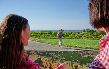 Goldberg - die aussichtsreiche Weinlage in Bad Schönborn | © Land der 1000 Hügel - Kraichgau-Stromberg