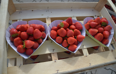 Grötzingers Bauernschänke | Brackenheim-Dürrenzimmern | Erdbeeren | © Neckar-Zaber-Tourismus e.V.