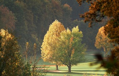 Heitlinger Golf Resort