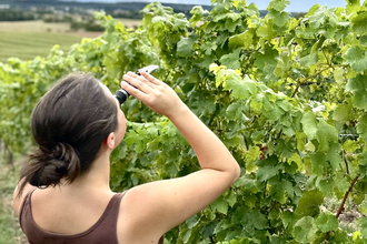 Hofgut Grimm | © Hofgut Grimm