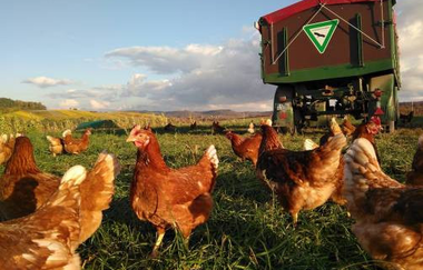 Hofladen Bio-Bauernhof Leis