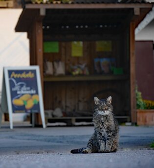 Selbstbedienungsstand Kartoffelhof Schäffer | Lauffen am Neckar | © Schäffer GbR
