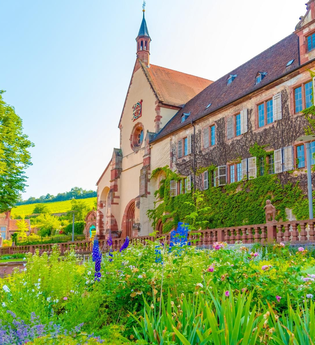 Blick aus dem blühenden Klostergarten auf das Kloster Bronnbach. Die Fassade ist begrünt. Im Hintergrund sind Steinfiguren und ein großer Baum zu sehen. | © Liebliches Taubertal