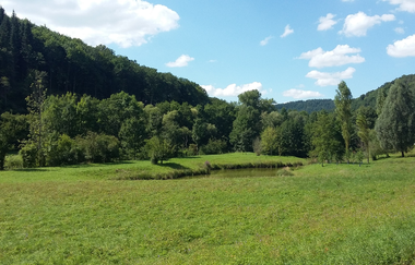 Hörstation Niklashausen | © Liebliches Taubertal
