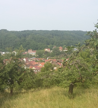 Hörstation Reicholzheim | © Liebliches Taubertal