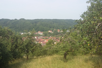 Hörstation Reicholzheim | © Liebliches Taubertal