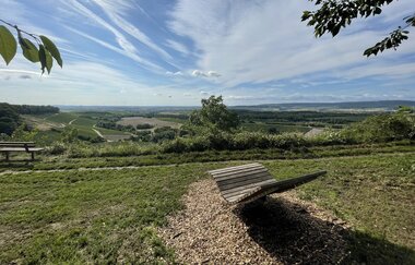Hügelsofa bei Brackenheim | © Stadt Brackenheim