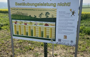 HÜGELREICH Münzesheim | © Stadt Kraichtal