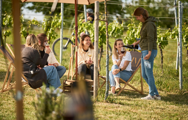 Eine Gruppe junger Menschen sitzt unter einem Sonnenschirm inmitten eines Weinbergs und genießt gemeinsam ein Glas Wein. | © Tourimia Tourismus GmbH | Stefan Leitner Photography